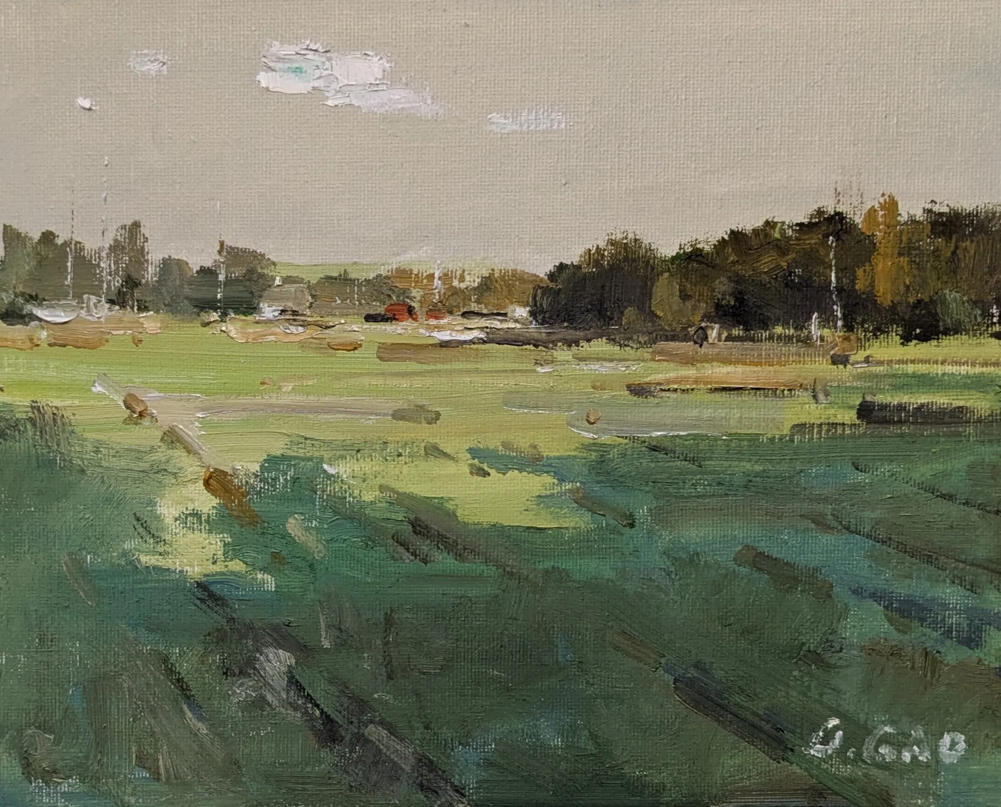 The green shadow — oil painting by Qian Gao