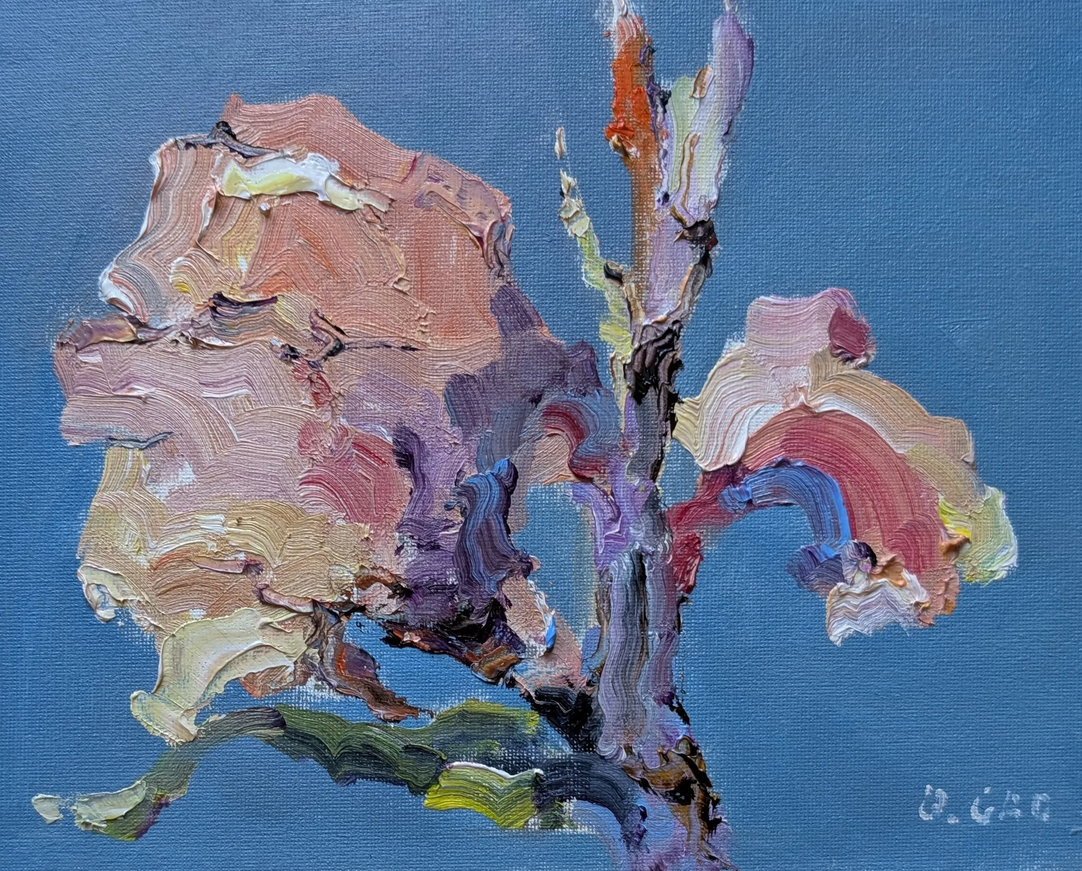 Flower #2 — oil painting by Qian Gao
