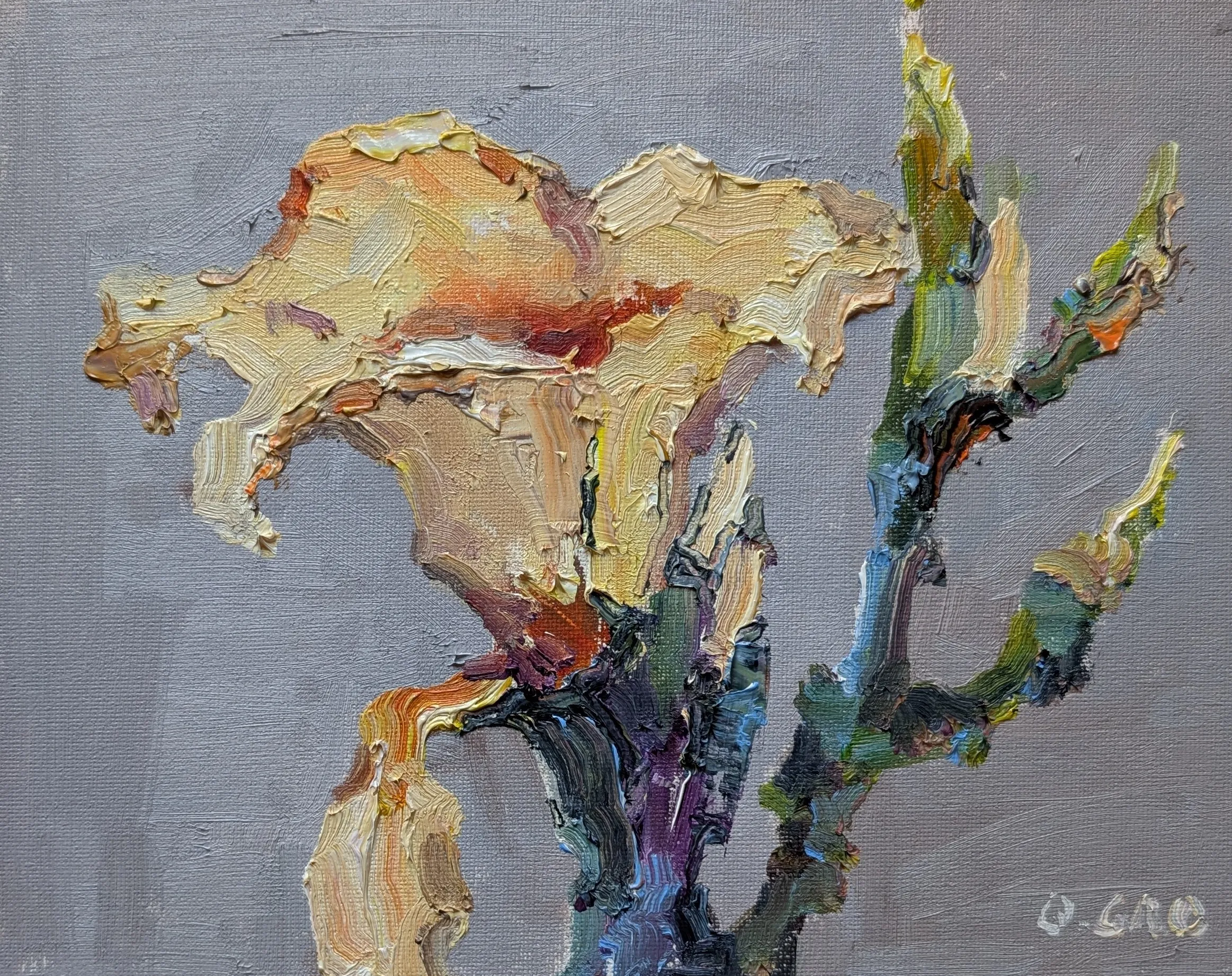 Flower #3 — oil painting by Qian Gao